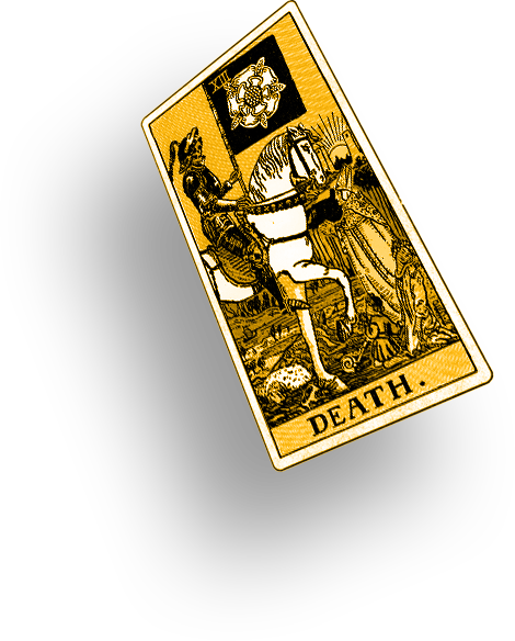 The Fool Card