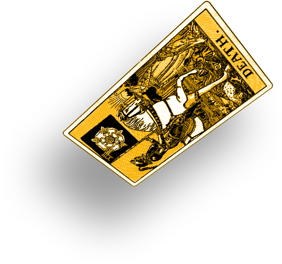 The Fool Card
